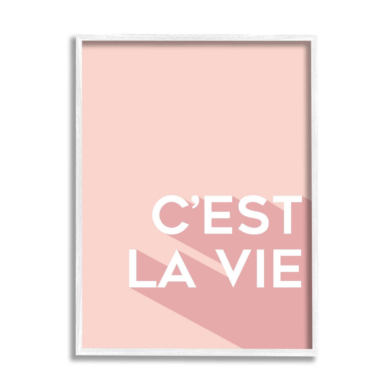 Stupell Industries C'est La Vie French Phrase Pink Pop Typography Framed Wall Art